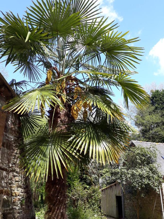 Le Vieux Moulin Bed & Breakfast Goudelin Ngoại thất bức ảnh